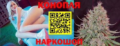 бошки Волгодонск