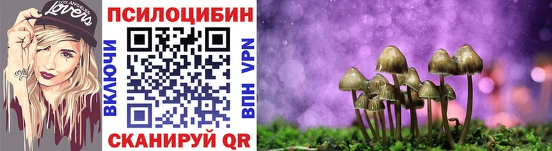 мега зеркало  Кувандык  Псилоцибиновые грибы GOLDEN TEACHER 