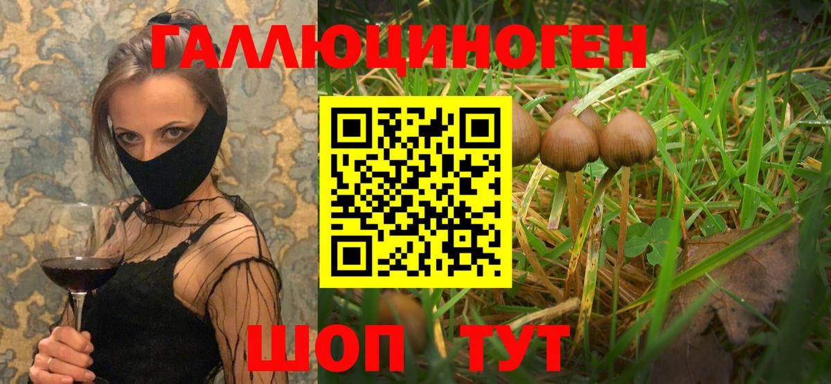 Псилоцибиновые грибы мухоморы Кувандык